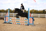 SBM_002273