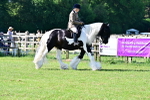 SBM_12119