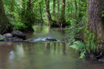 Flowing Through