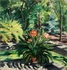 Clivia in Summer