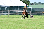 SBM_07967