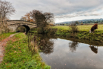 Bridge 87 (Kent Green Skew), Macclesfield Canal (2)