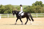 SBM_008247
