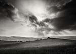 Crop Light