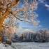 Derrymore Winter
