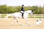 SBM_007390