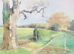 'Woodland Path'