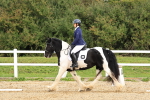 SBM_001466