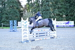 1 British Novice and 90cm Open portfolio