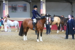 SBM_17817