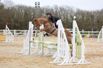Western Hunt PC Secondary Schools Showjumping 23rd March 2025 portfolio