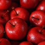 Crab Apples