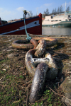 Mooring chains Bristol 2_B010