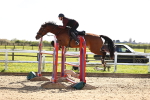 SBM_004947