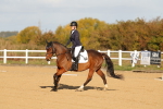 SBM_008832
