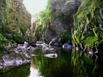 Fairy-Glen-Betws-y-Coed