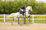 SBM_005313