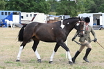 WJ6_5864
