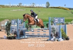 BPP_2305
