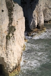 Old Harry