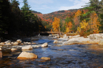 The Swift River