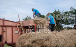 Guernsey Agricultural Show 2021-98