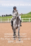 BPP_3029