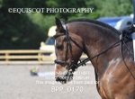 BPP_0170