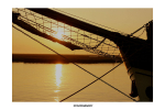 Dawn