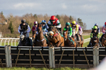 250225-Race 3-Ballyvango-6223