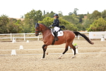 SBM_006863