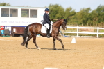 SBM_010737