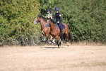 WJ6_7539