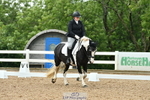 Novice 23 portfolio