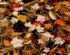 Istock #13752515