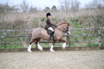 SBM_006054