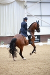 SBM_009469