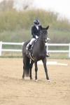 SBM_005961