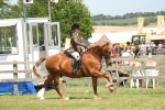 SBM_06929