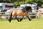 SBM_01610