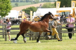 SBM_02331