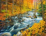 Istock #17467647