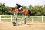 SBM_003431