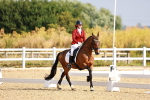 SBM_008186