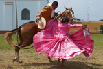 Dancing with Horses
