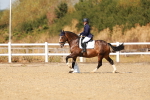 SBM_017957