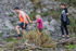 Dovedale Junior-138