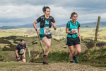 Helm Hill -572