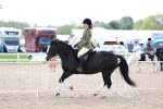 SBM_15808