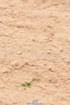 230813A-101152-11328